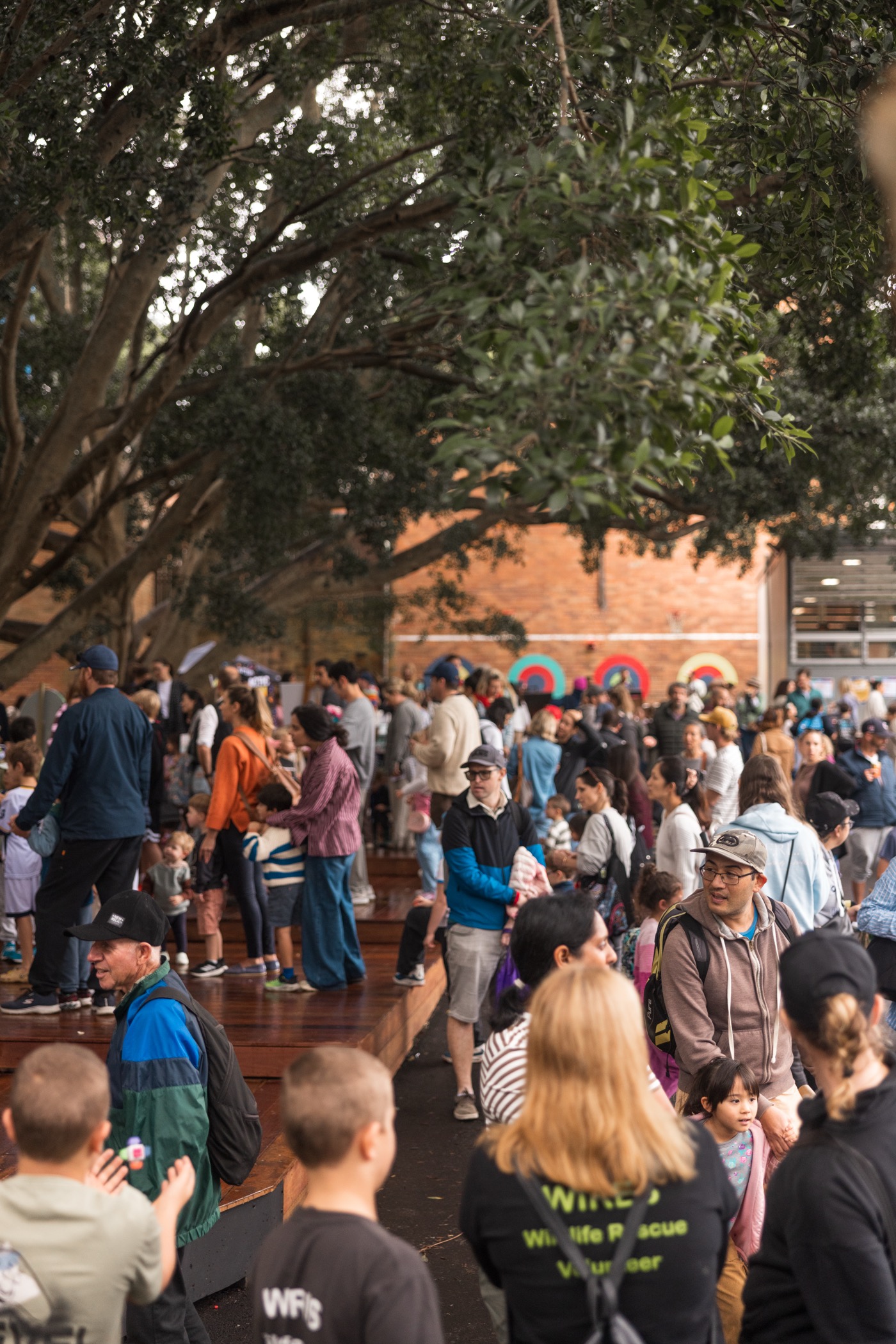 STEMFEST photo